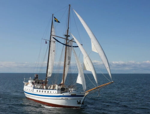 Anmäl er till Shaloms sommarveckor 2026