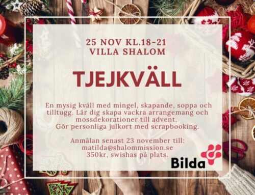 Tjejkväll 25 nov på Villa Shalom
